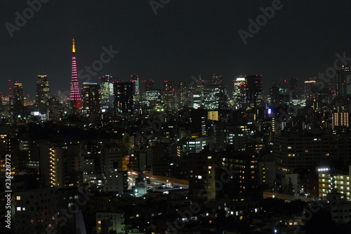 Cityscape of Tokyo Japan at night