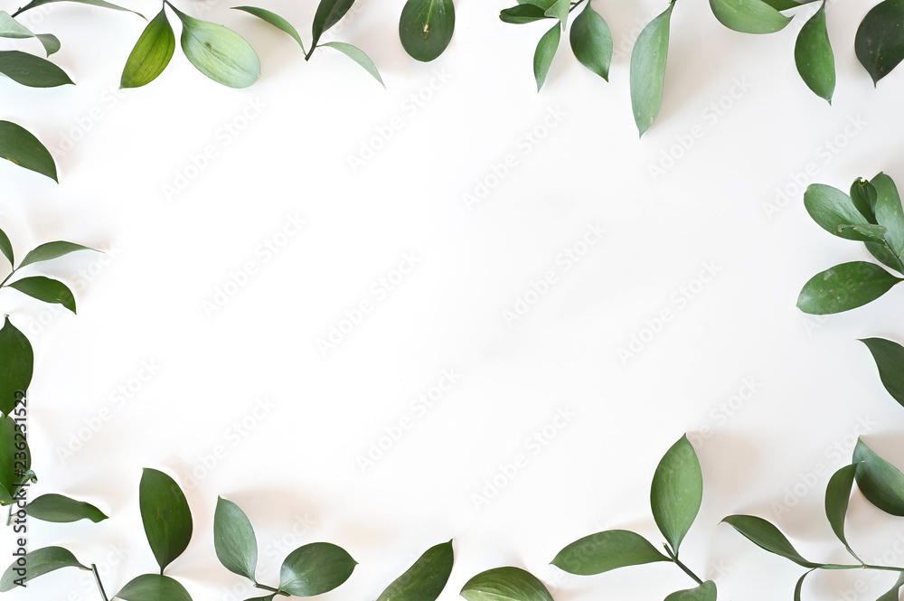 Leaf frame on white background.