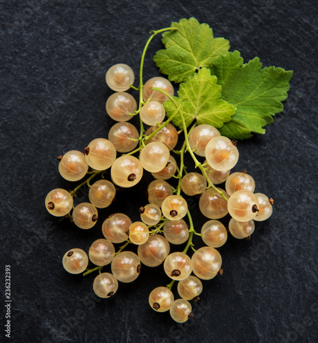 Yellow currant with green leaves photo