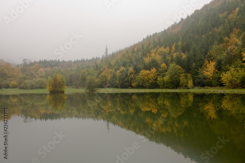 Reflection of trees in the lake