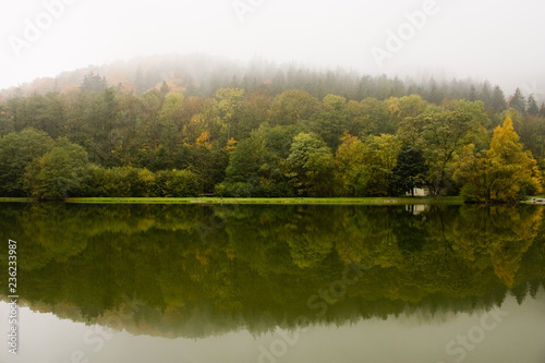 Reflection of trees in the lake