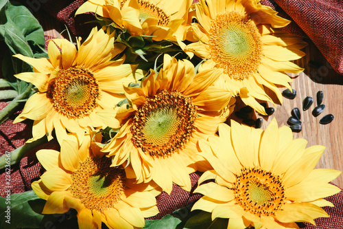 Fototapeta Naklejka Na Ścianę i Meble -  Bouquet of beautiful yellow sunflower flowers with black seeds on brown wooden background
