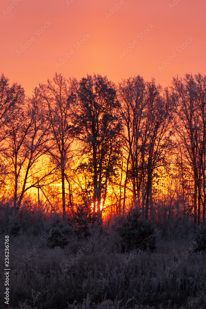 sunrise on a frosty morning sunrise on a frosty morning