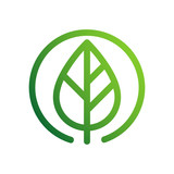 zielony liść wektor logo
