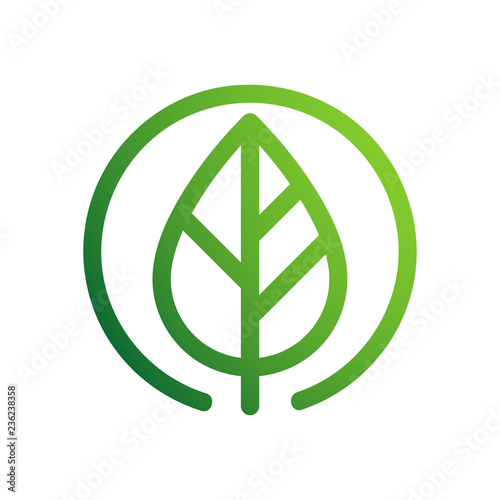 zielony liść wektor logo