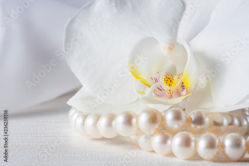 Orchid flower with a pearl necklace.