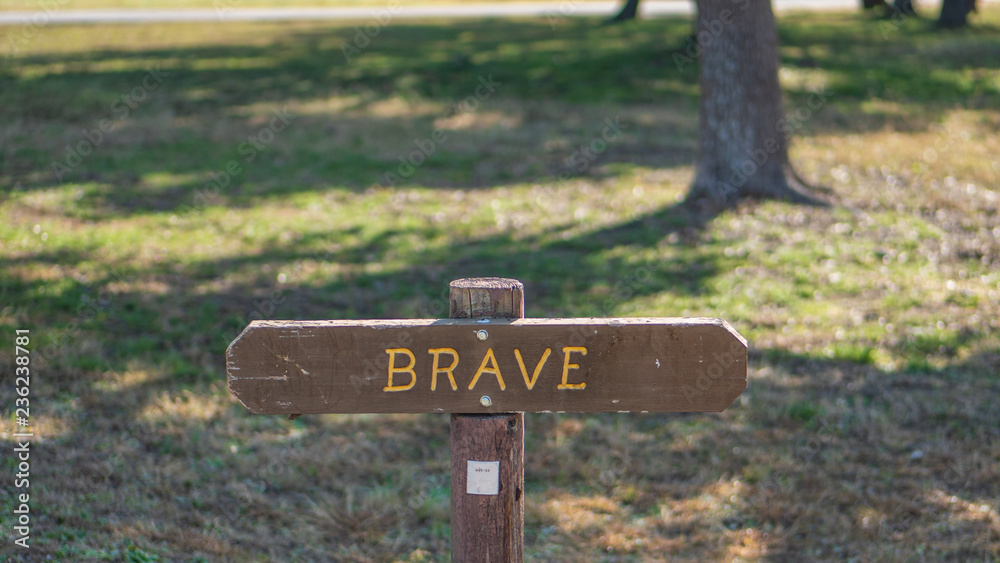 Brown wooden sign in grassy field with brave written on it