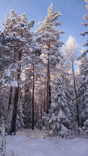 Winter in Ural 5