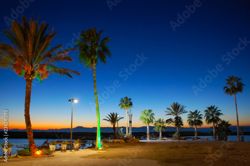 Palm trees by the sea in a park with beautiful night light © Igor Shubin