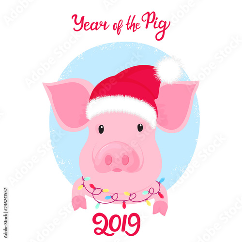 Piggy in Santa's hat with a garland around his neck. Year of the pig 2019 hand lettering.