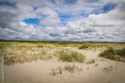 Big bech