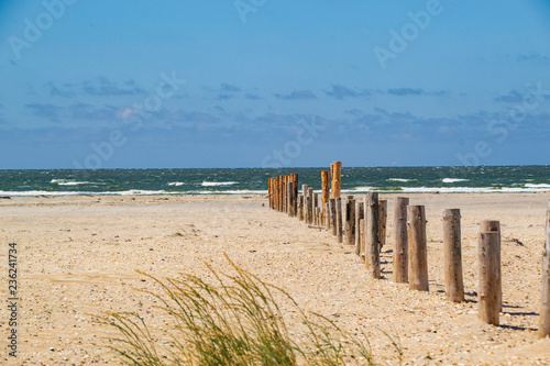Piles at the beach