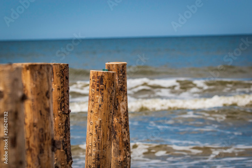 fence on the beach