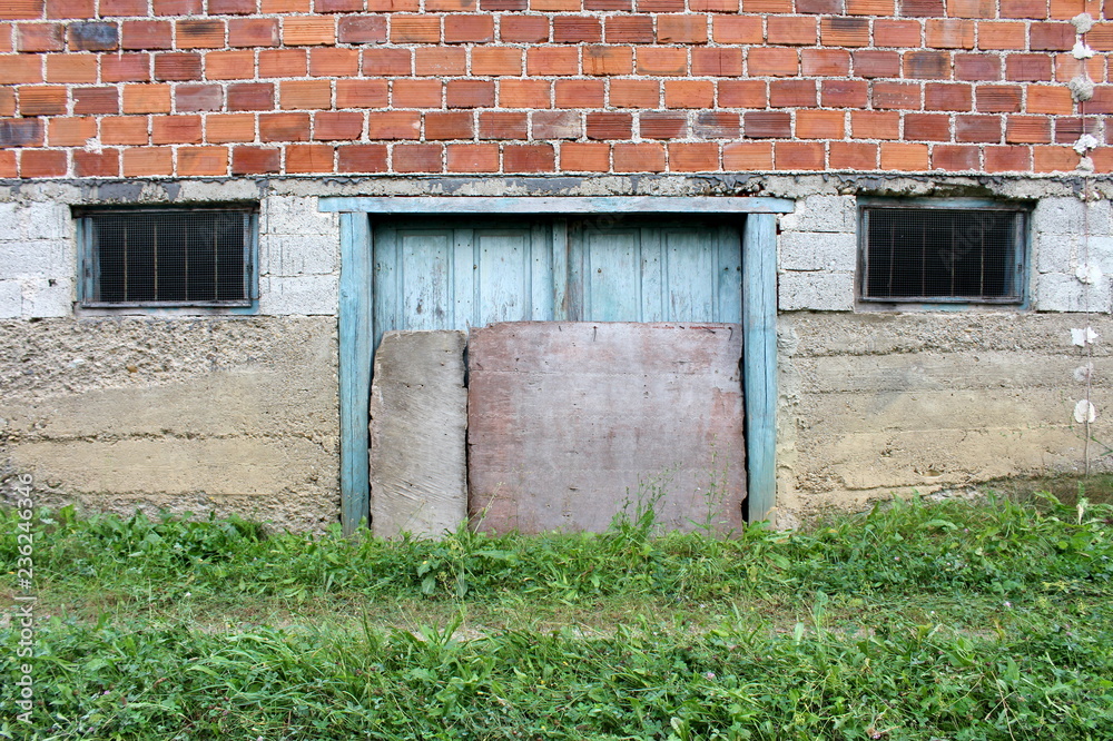 Fototapeta premium Cracked wooden basement doors with added boards as protection against heavy rain mounted on concrete wall with two dilapidated windows covered with metal net and bars surrounded with high uncut grass