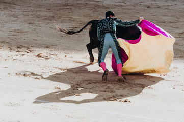 Poster Stierenvechten Woedende stier valt matador aan  © karrastock