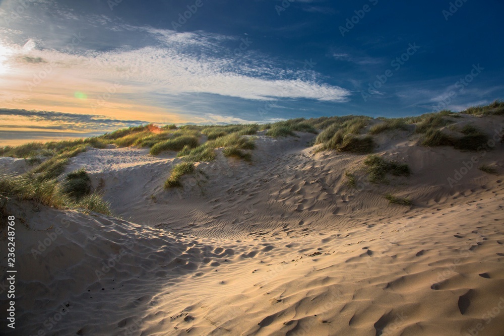 Grassy sand dunes on beach