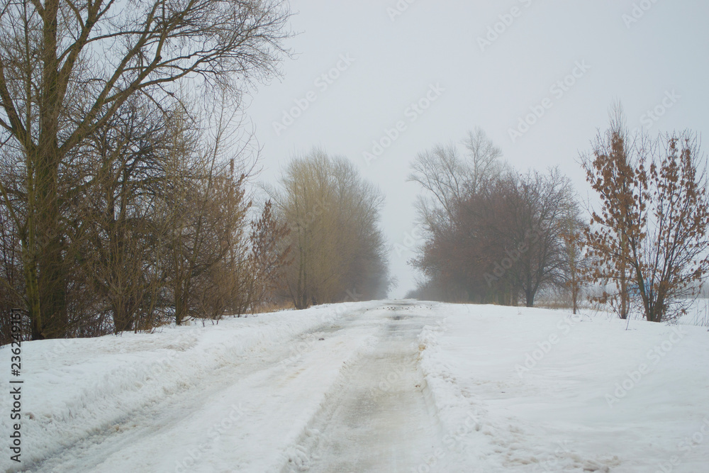 Fototapeta premium Snowy weather on the empty road, danger, winter.