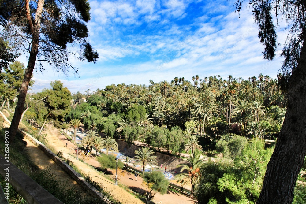 Landscape of palm grove and the hillside of the Vinalopo River in Elche Landscape of palm grove and the hillside of the Vinalopo River in Elche