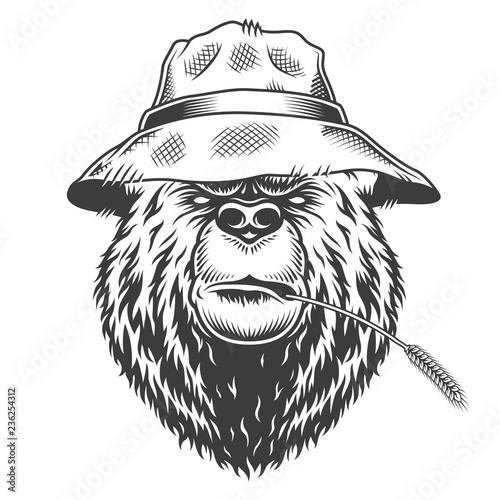 Serious bear head wearing panama hat