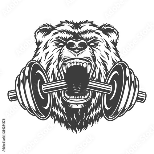 Angry bear head bites dumbbell