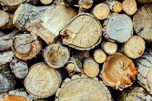 pile of natural wooden logs background