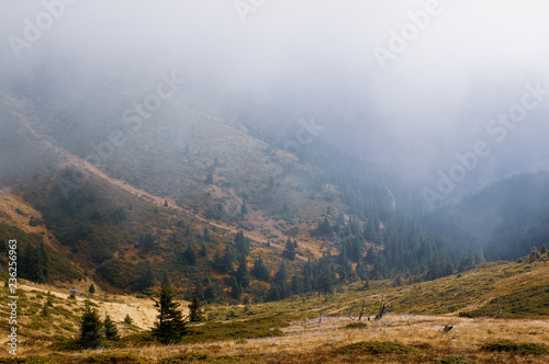 Scenery from Ciucas peak in the Carpathian Mountains  Romania  on a hazy autumn morning with fog lifting from a valley with fir trees.