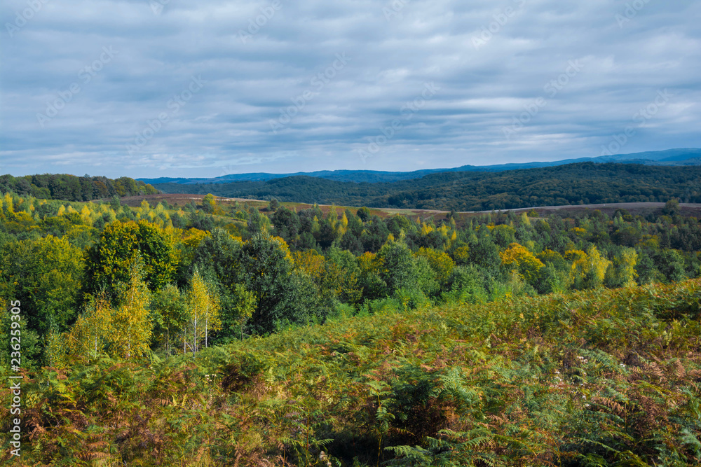 Beautiful fall colors, moody Autumn landscape of rolling hills and Scenic Countryside under mice blue Sky.Colorful autumn landscape in the Carpathian mountains. Transylvania,Romania. Europe.