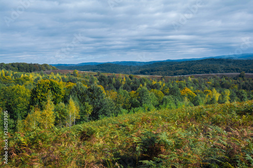 Beautiful fall colors, moody Autumn landscape of rolling hills and Scenic Countryside under mice blue Sky.Colorful autumn landscape in the Carpathian mountains. Transylvania,Romania. Europe.