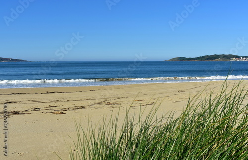 Beach with vegetation in sand dunes and small waves breaking. Blue sea with foam  sunny day. Galicia  Spain.