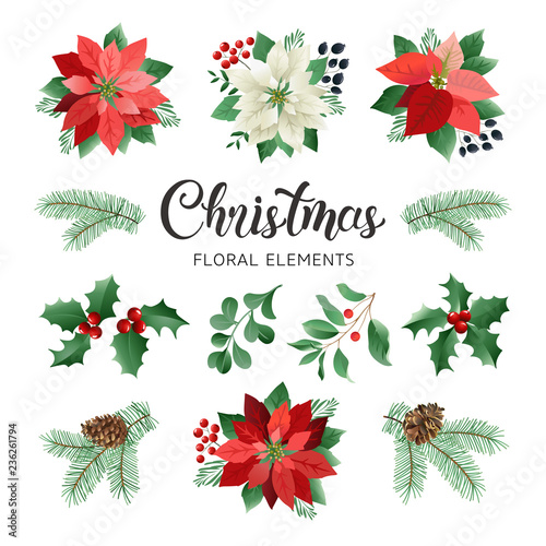 Poinsettia Flowers and Christmas Floral Elements in Watercolor Style vector.