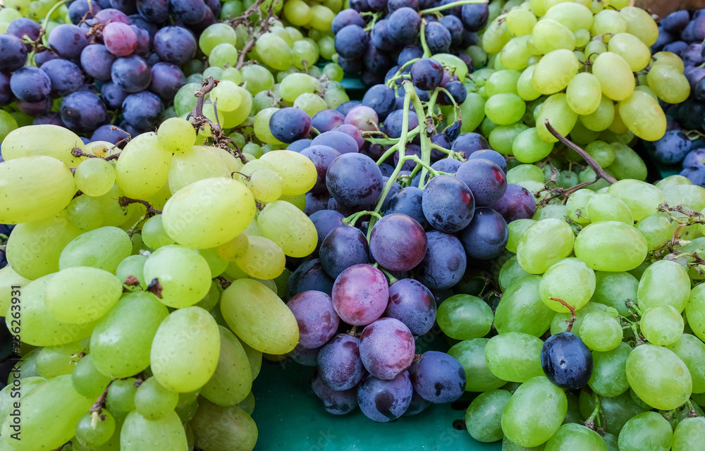 Mix of green-yellow and black grapes for sale at city farmers market of Zagreb, Croatia Mix of green-yellow and black grapes for sale at city farmers market of Zagreb, Croatia