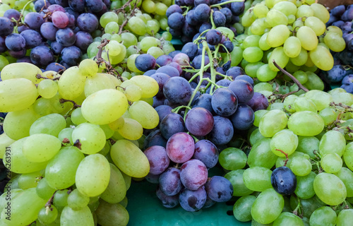 Mix of green-yellow and black grapes for sale at city farmers market of Zagreb, Croatia