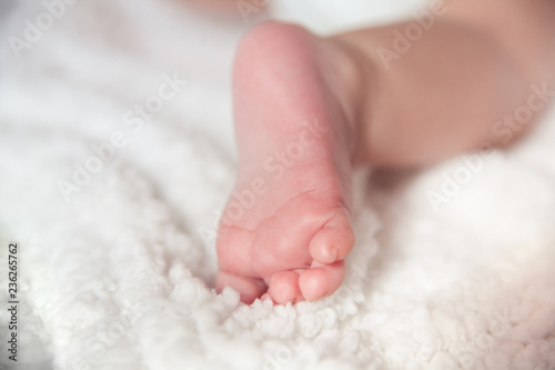 feet of baby on a light background