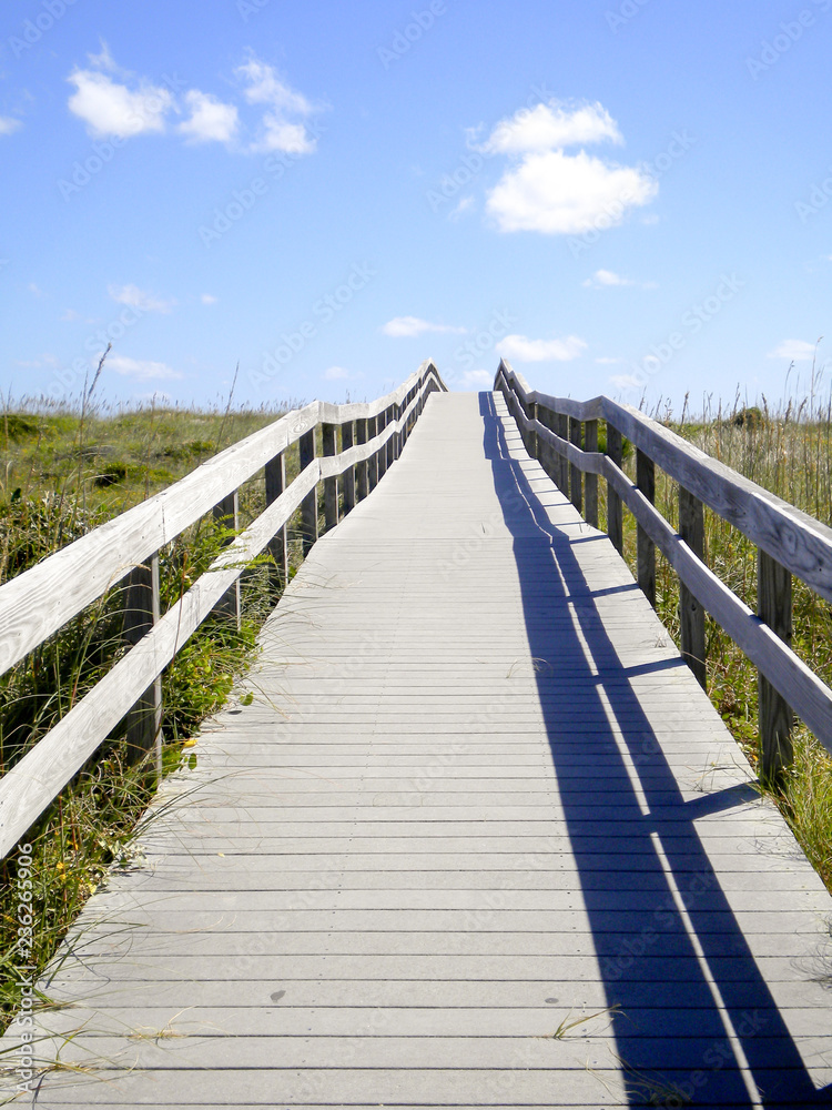vertical view of a long wooden boardwalk ocean beach access
