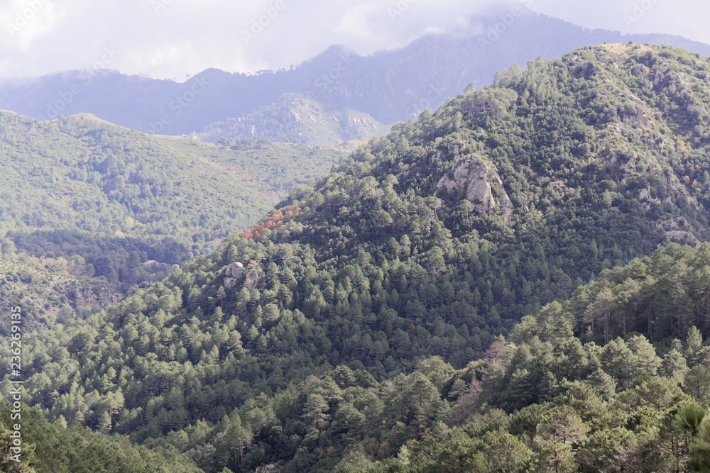 Landscape near Canaglia in the Corsian mountains.