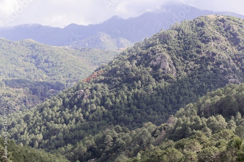 Landscape near Canaglia in the Corsian mountains.