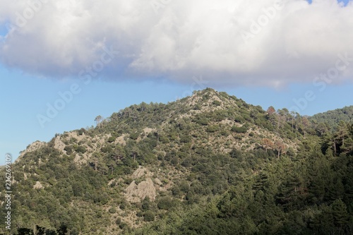 Landscape near Canaglia in the Corsian mountains. photo