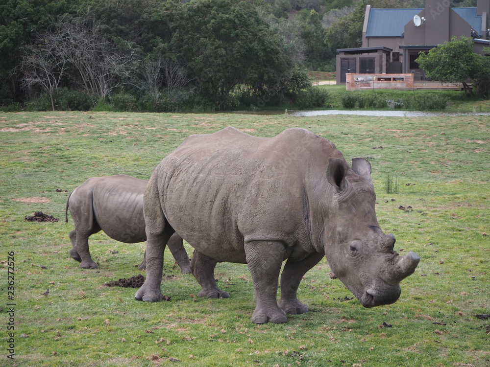 Obraz premium OLYMPUS DIGITAL CAMERA