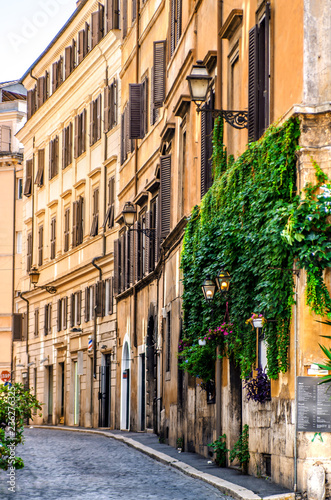 Fototapeta Naklejka Na Ścianę i Meble -  Cozy winding Roman street with green walls of houses. Rome. Italy