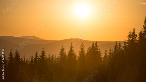 Panorama of sunset in the mountains with forest, green grass and big shining sun on dramatic sky