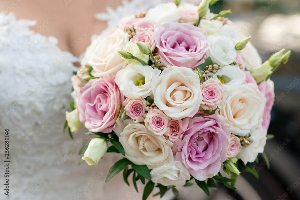 Beautiful bride in a wedding dress holding a bouquet of pink roses. White background. Text space. Beautiful bride in a wedding dress holding a bouquet of pink roses. White background. Text space.