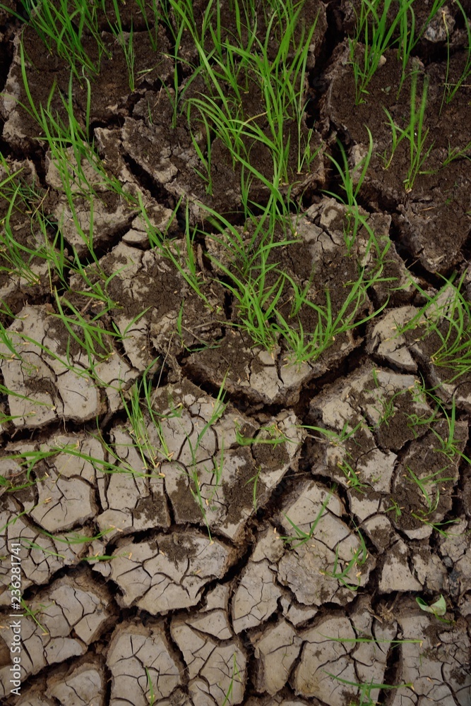 soil fracture texture and background soil fracture texture and background
