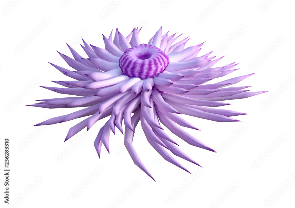 Obraz premium 3D Rendering Sea Anemone on White