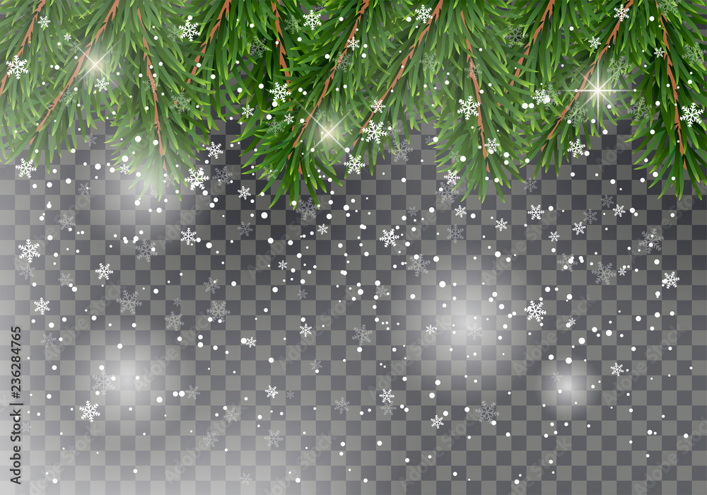 Christmas fir tree branches on transparent background with falling snow ...