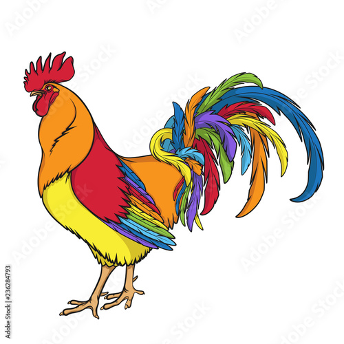 Rainbow rooster or cock. Color isolated vector illustration on white background.