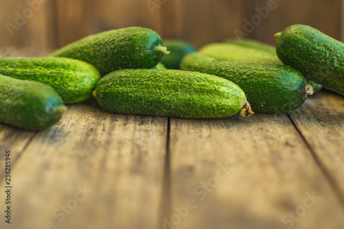 Fresh cucumbers on old wooden table