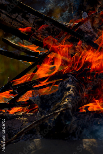 Close up of camp fire flames and fire, outdoor wood fire
