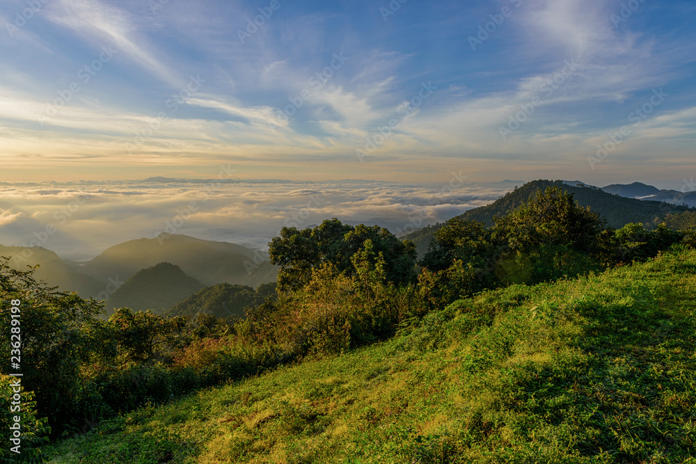 Fototapeta premium Morning sunrise and mist cover at Doi Angkhang.