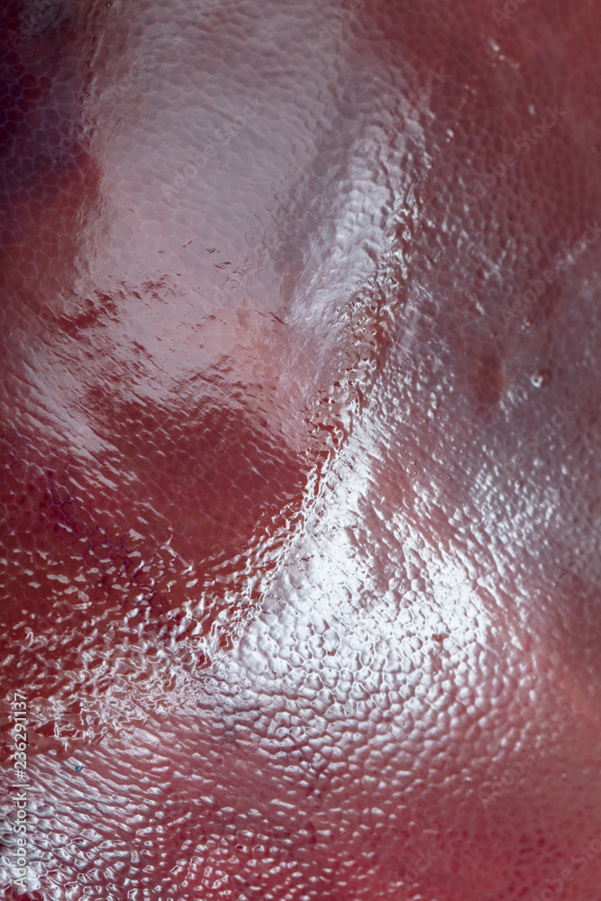 Fototapeta premium Pork liver pork as an abstract background