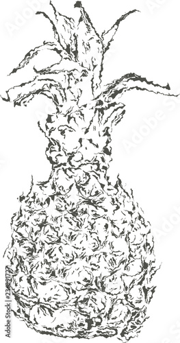 Ananas